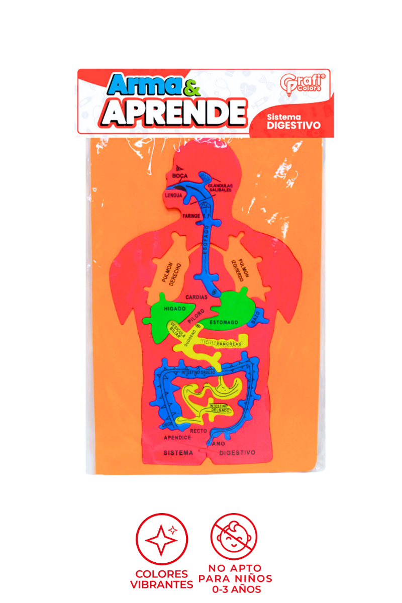 Foamy Sistema Digestivo Grafi Colors